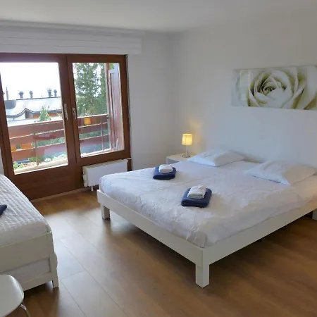 Monte Cristo 6 By Interhome Apartment Crans-Montana